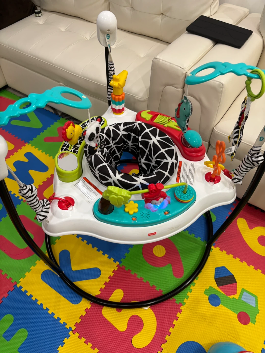 Fisher-Price Jumperoo Activity Center