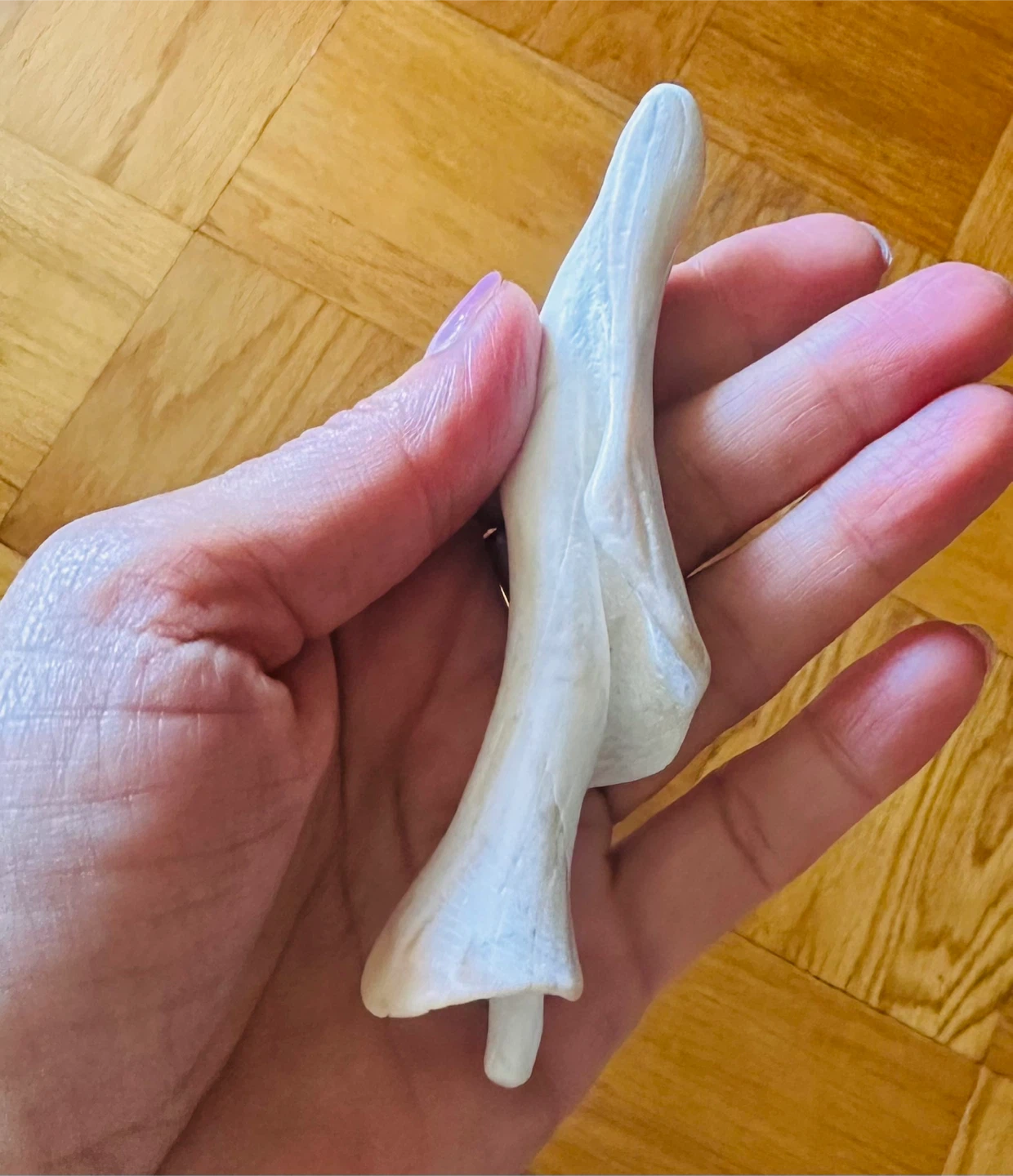 White Seashell Decor - photo 2