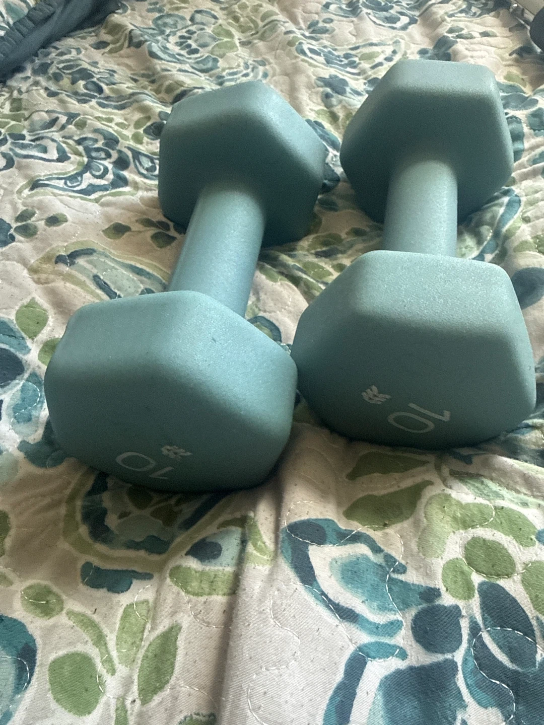 2 x 10lb Dumbbells