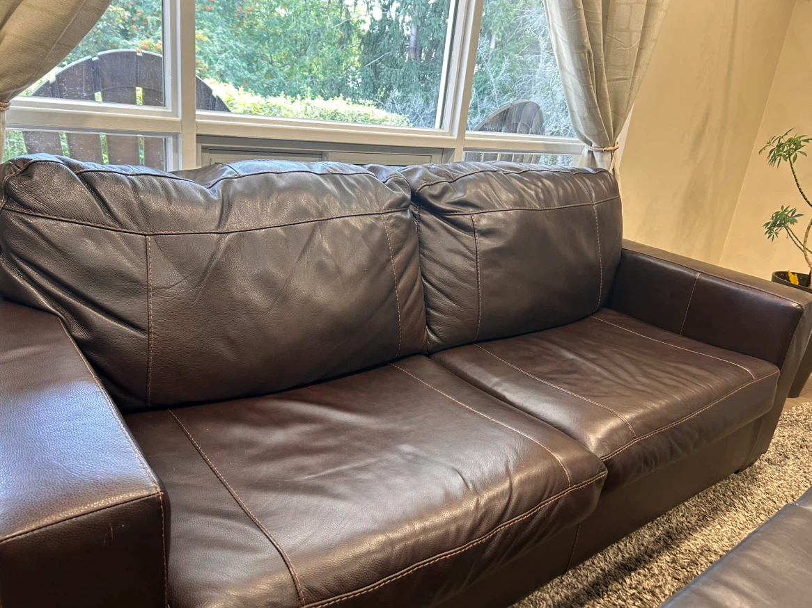 Sofa and Love seat. - photo 4