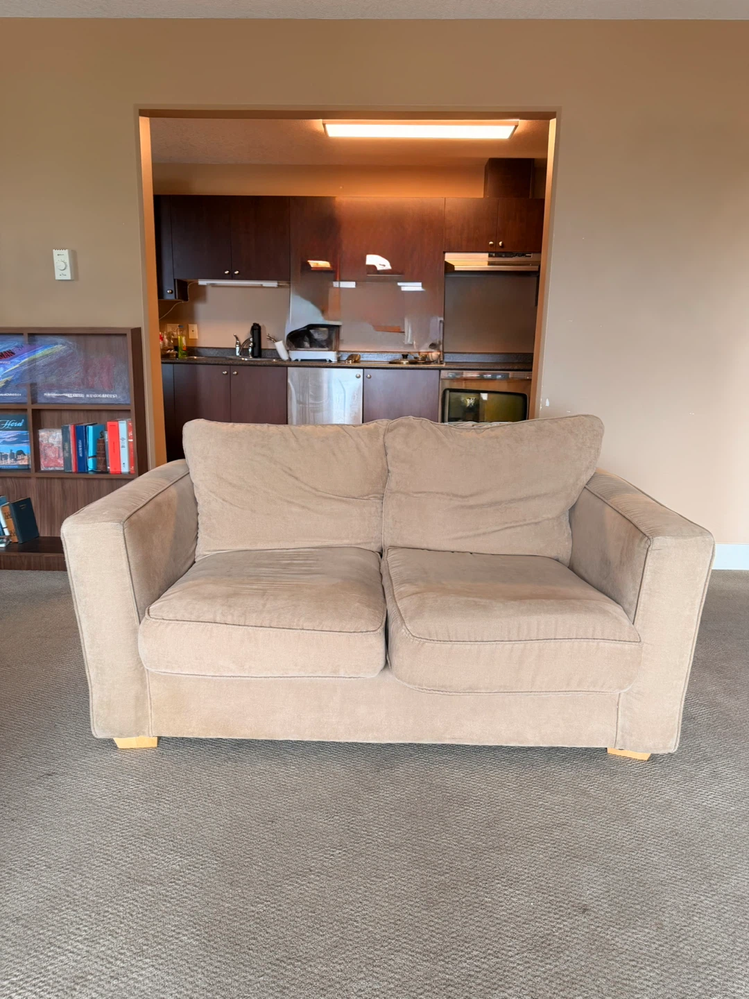 Light Tan Loveseat Sofa