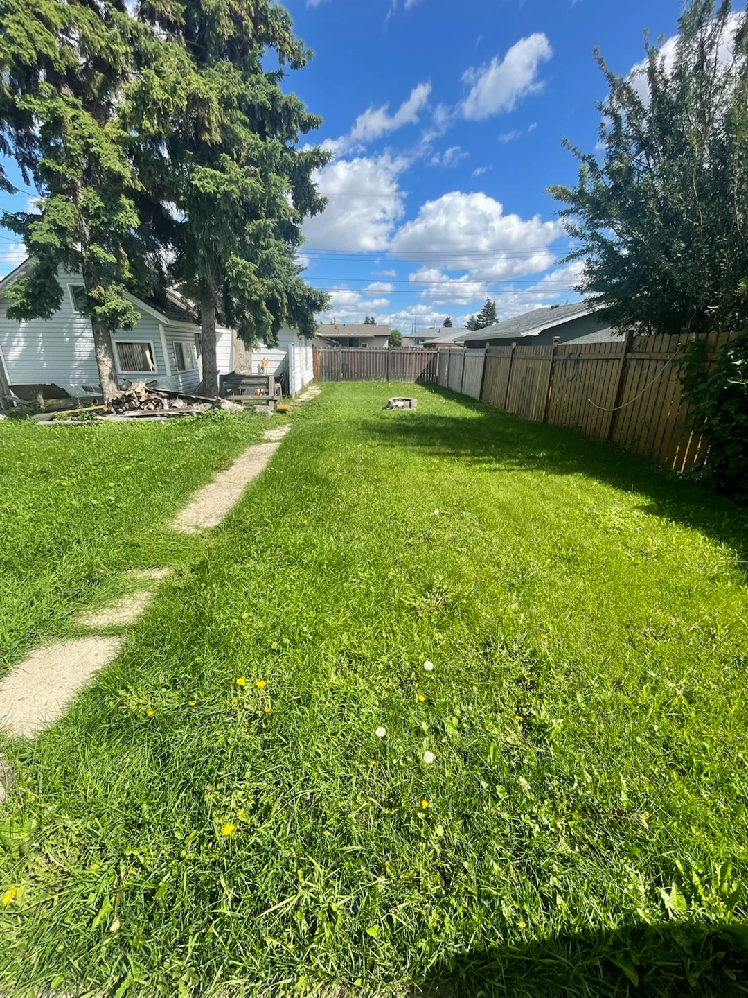 YARD WORK - photo 3