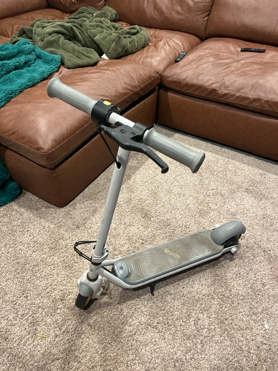 Ninebot Electric Scooter