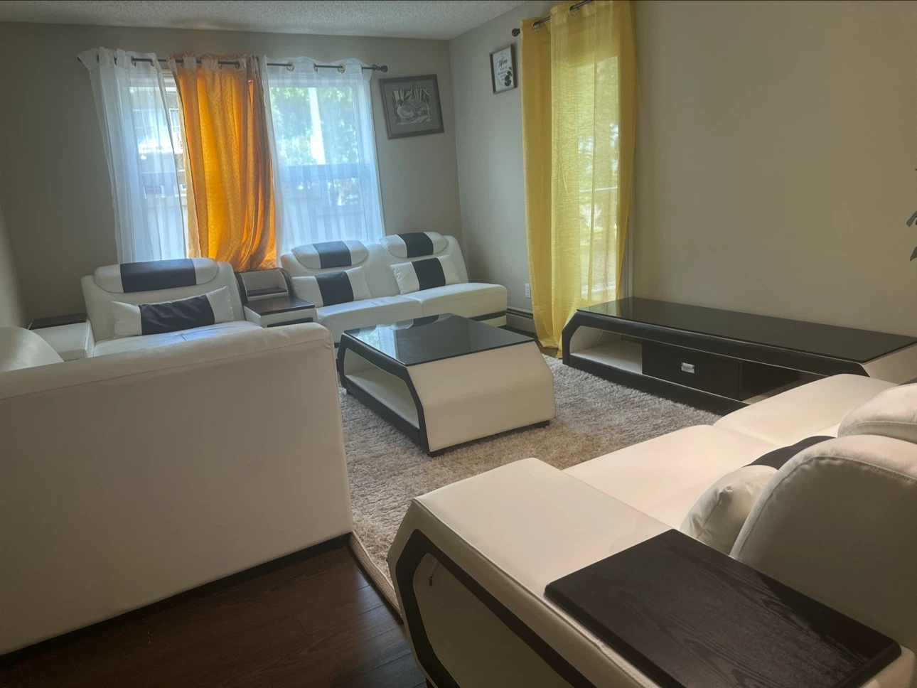 White and Black Modern Sofa Set