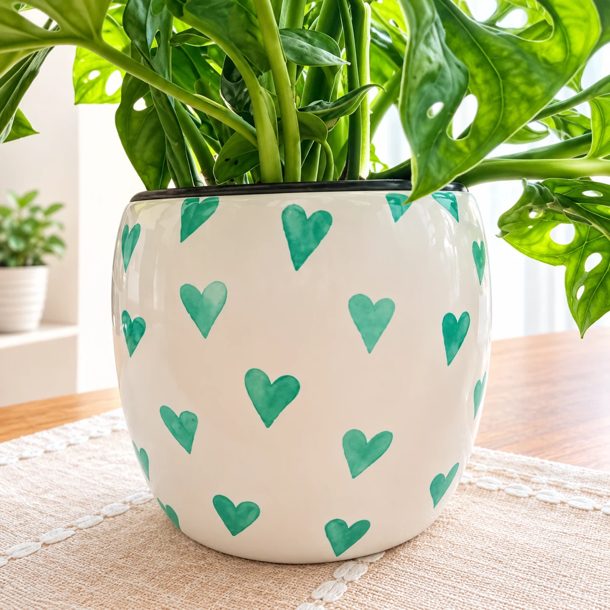 Monstera Adansonii + 5” Ceramic Pot 🌿 - photo 4