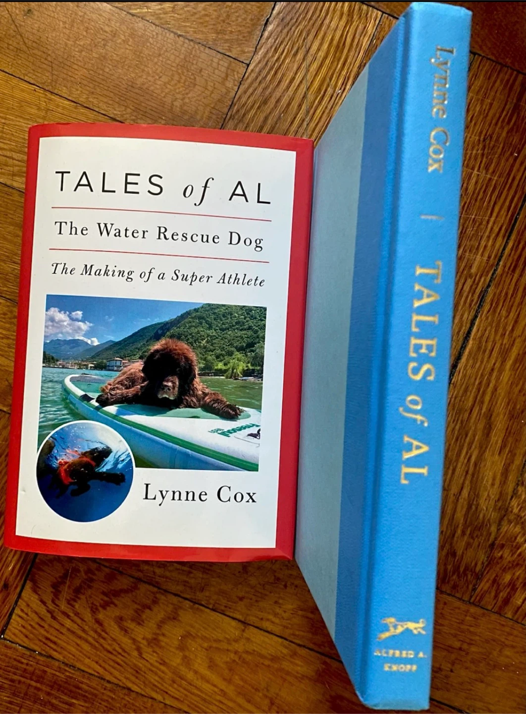 Tales of Al: The Water Rescue Dog by Lynne Cox