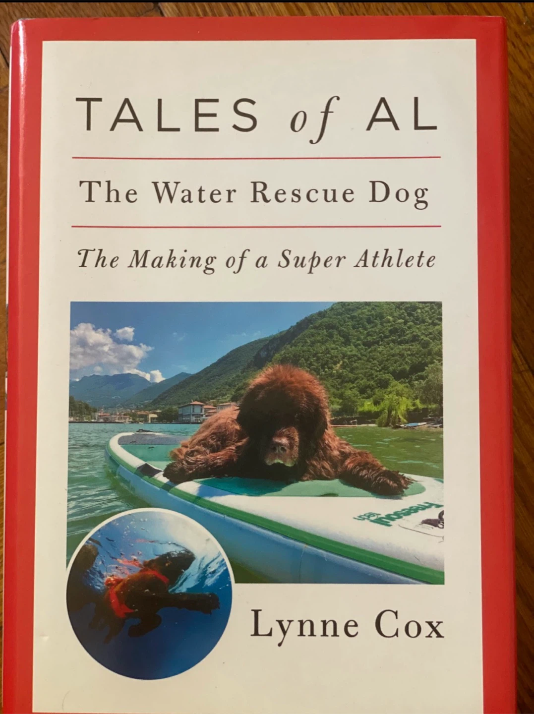 Tales of Al: The Water Rescue Dog by Lynne Cox - photo 2