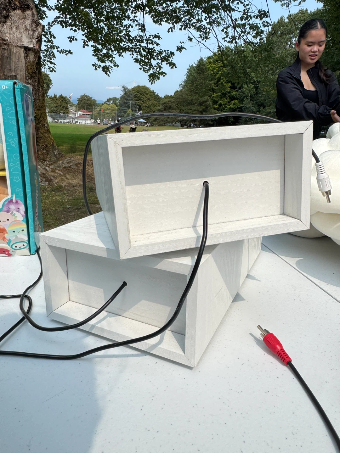 White Rectangular Speakers