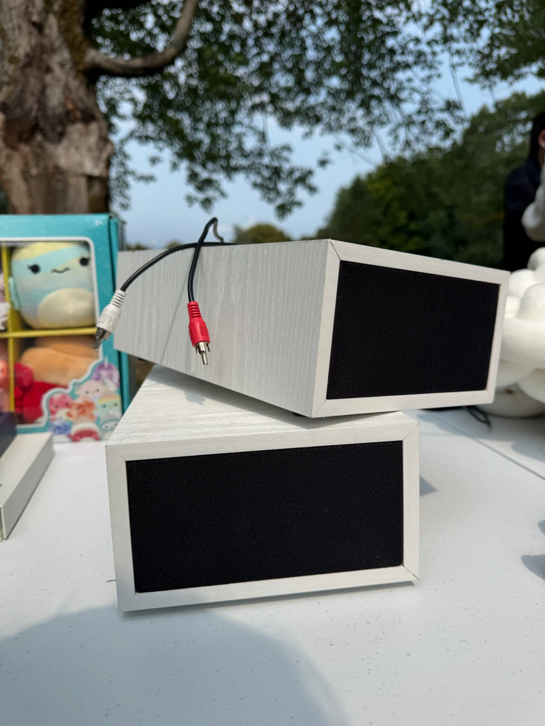 White Rectangular Speakers - photo 3