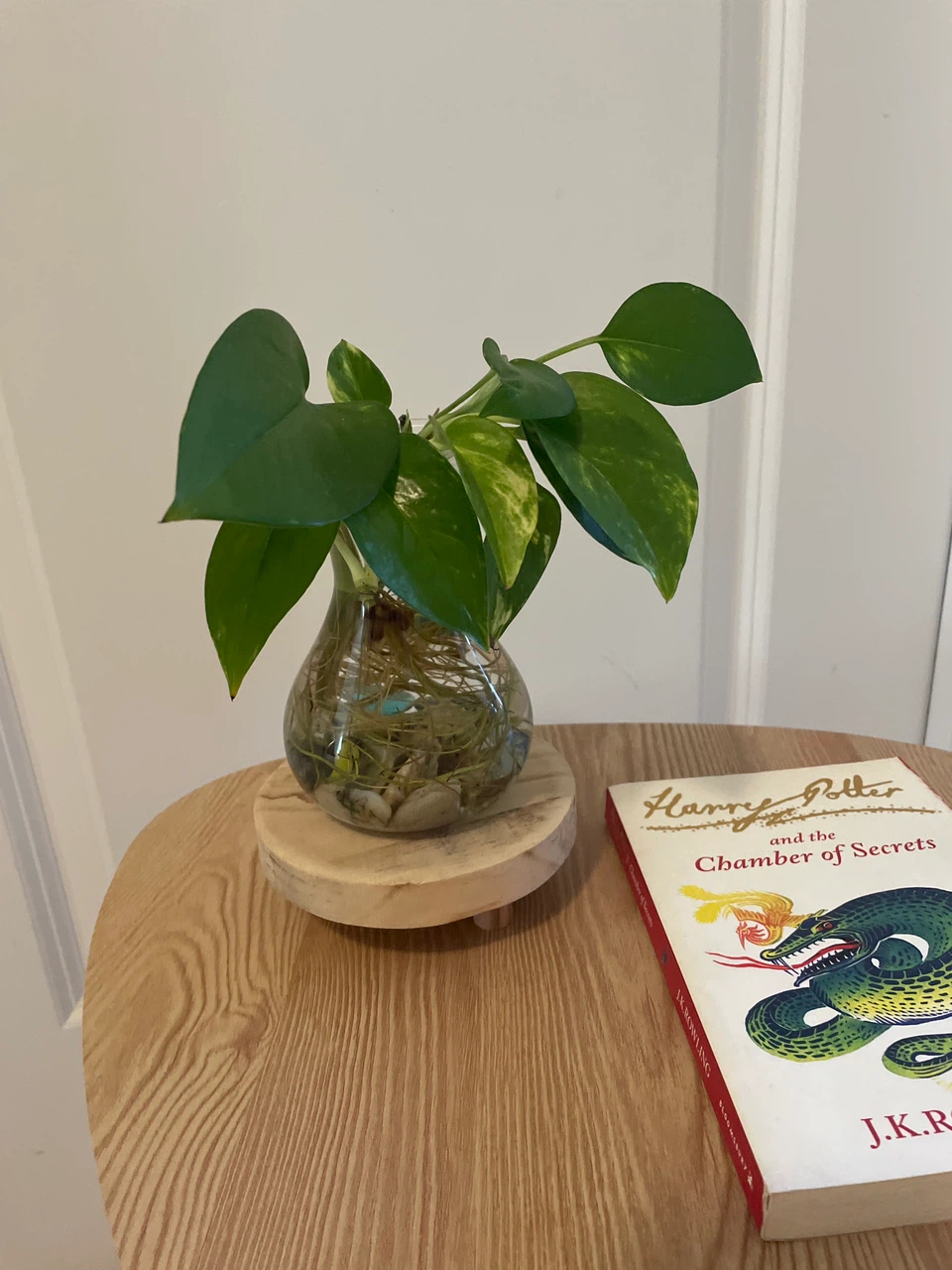 Home decor-Pothos Plant in a glass vase, book with Stand - photo 2