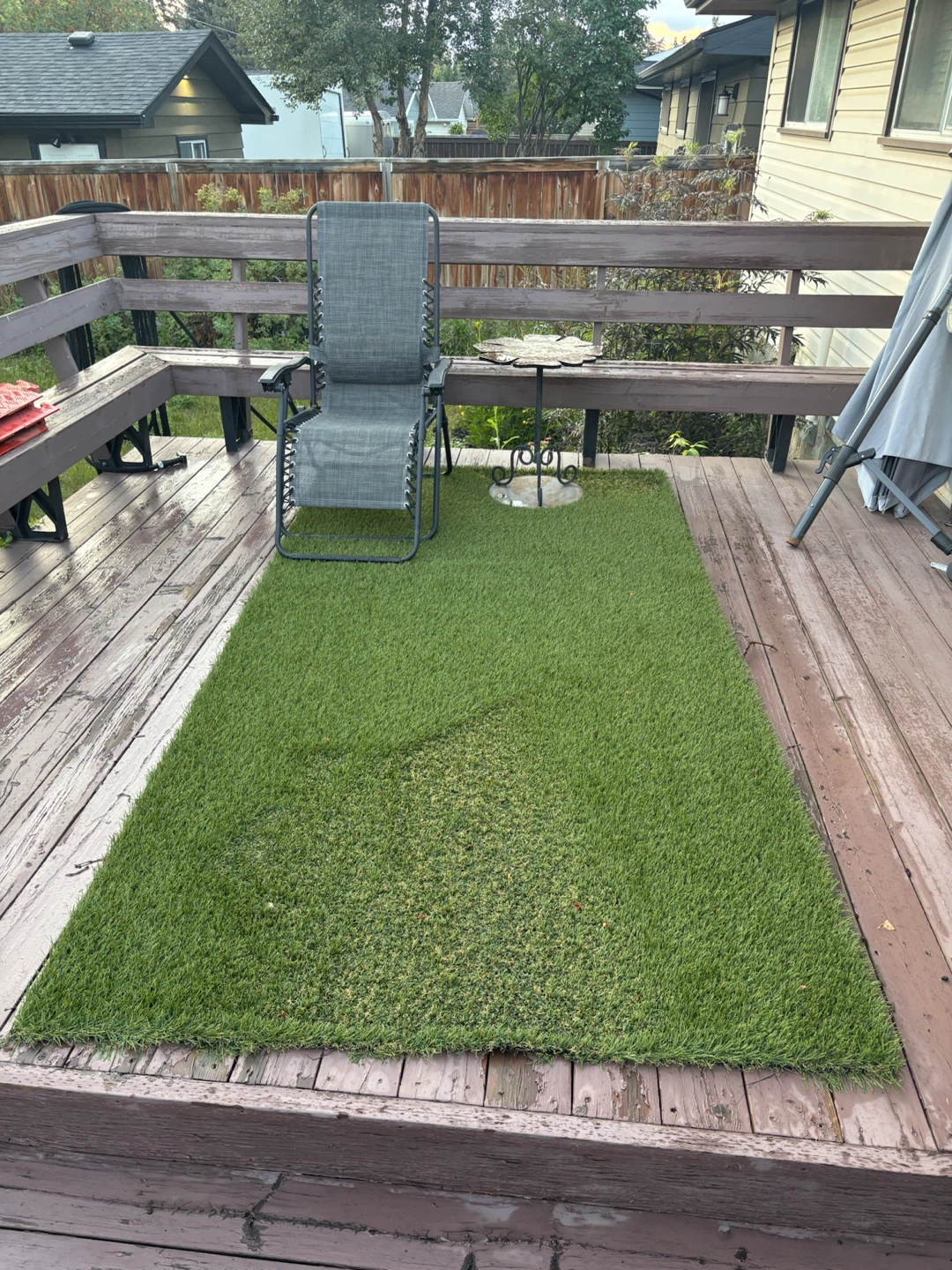 Artificial Turf Rug