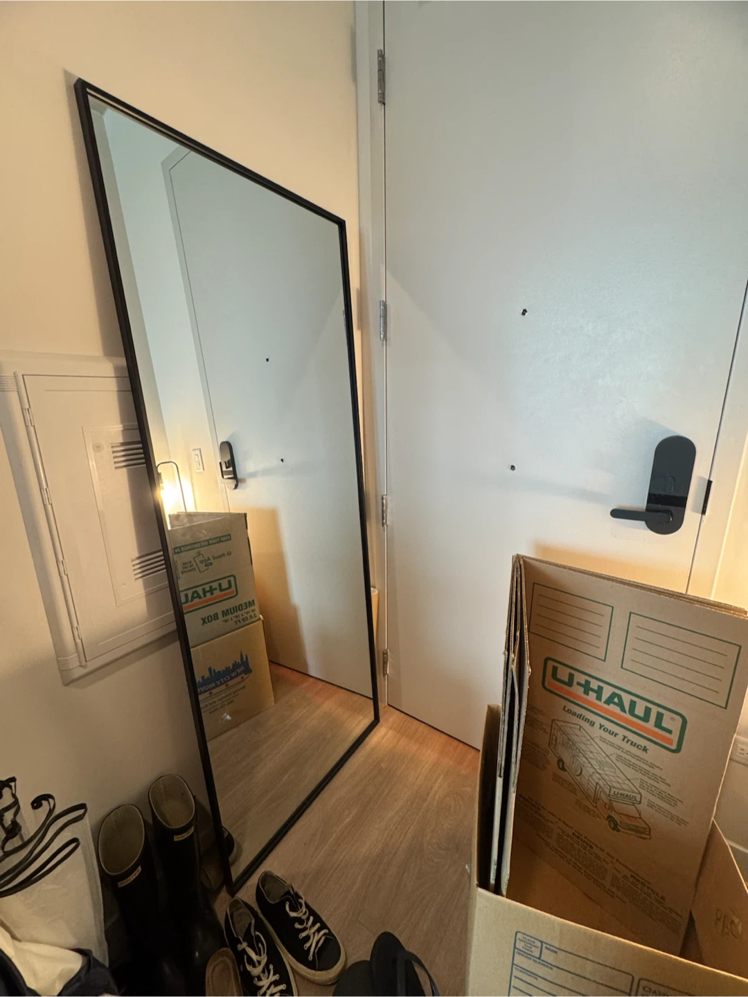 **pick up by 8/17** Full Length Mirror with Black Frame
