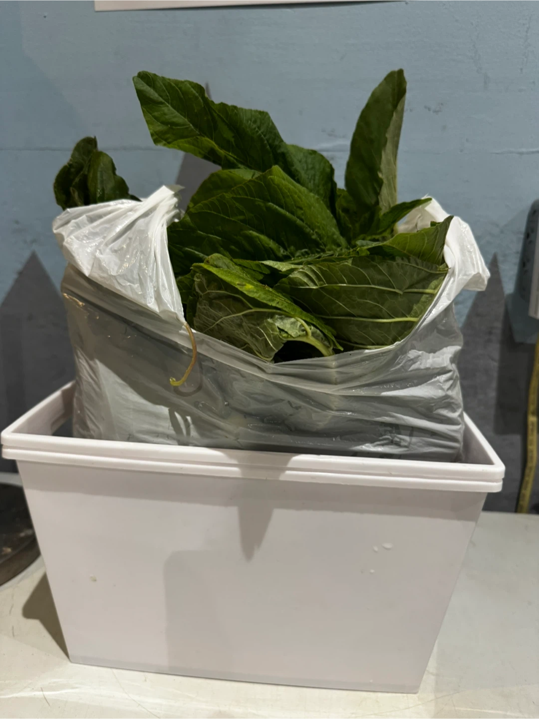 Callaloo Farm Fresh - photo 3