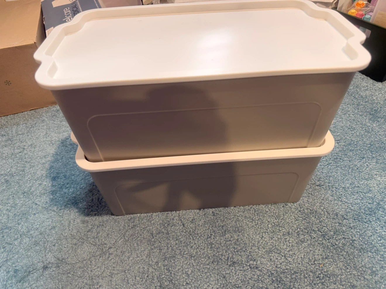 Storage Bins with Lids (Set of 2)