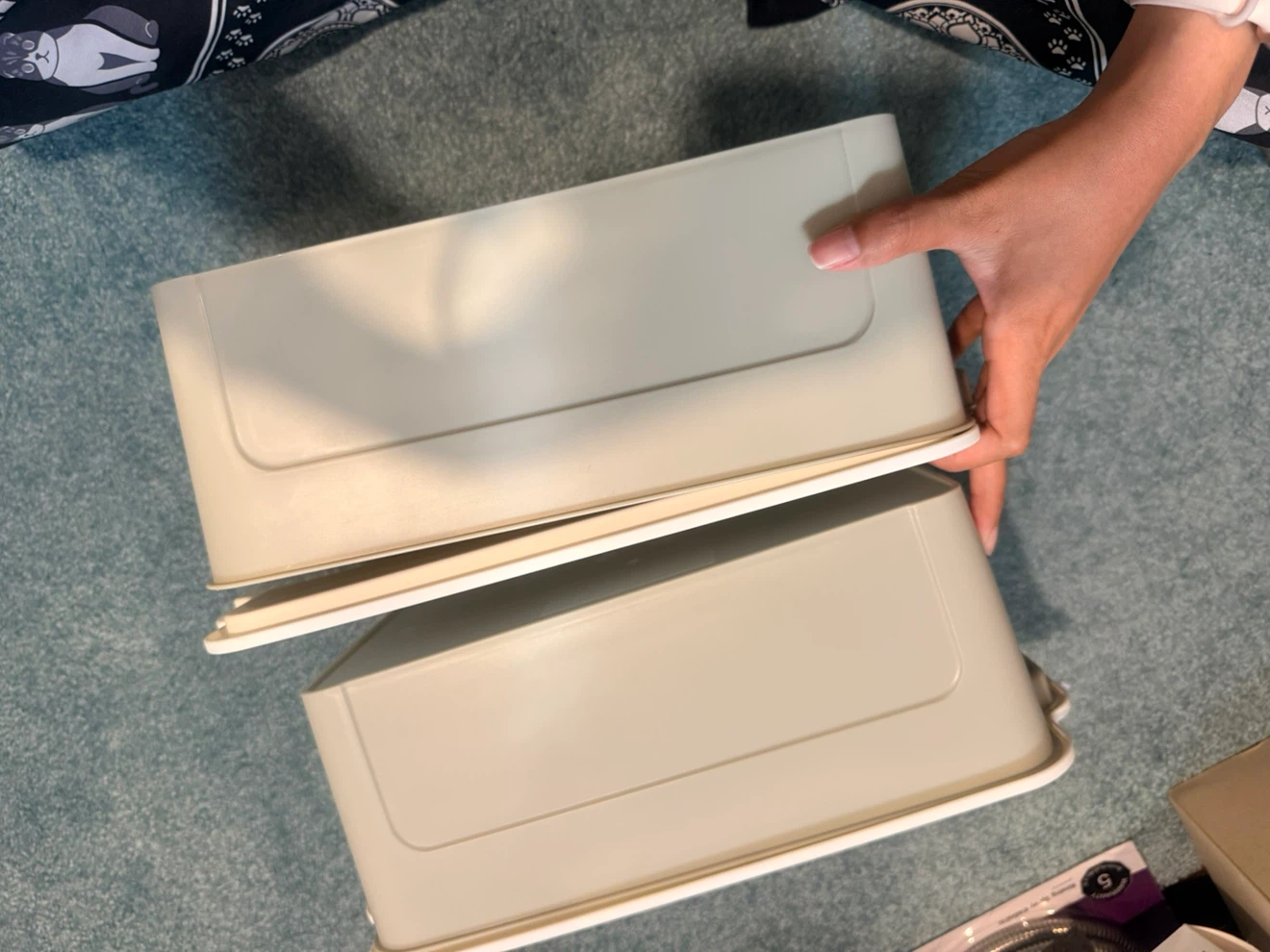 Storage Bins with Lids (Set of 2) - photo 2