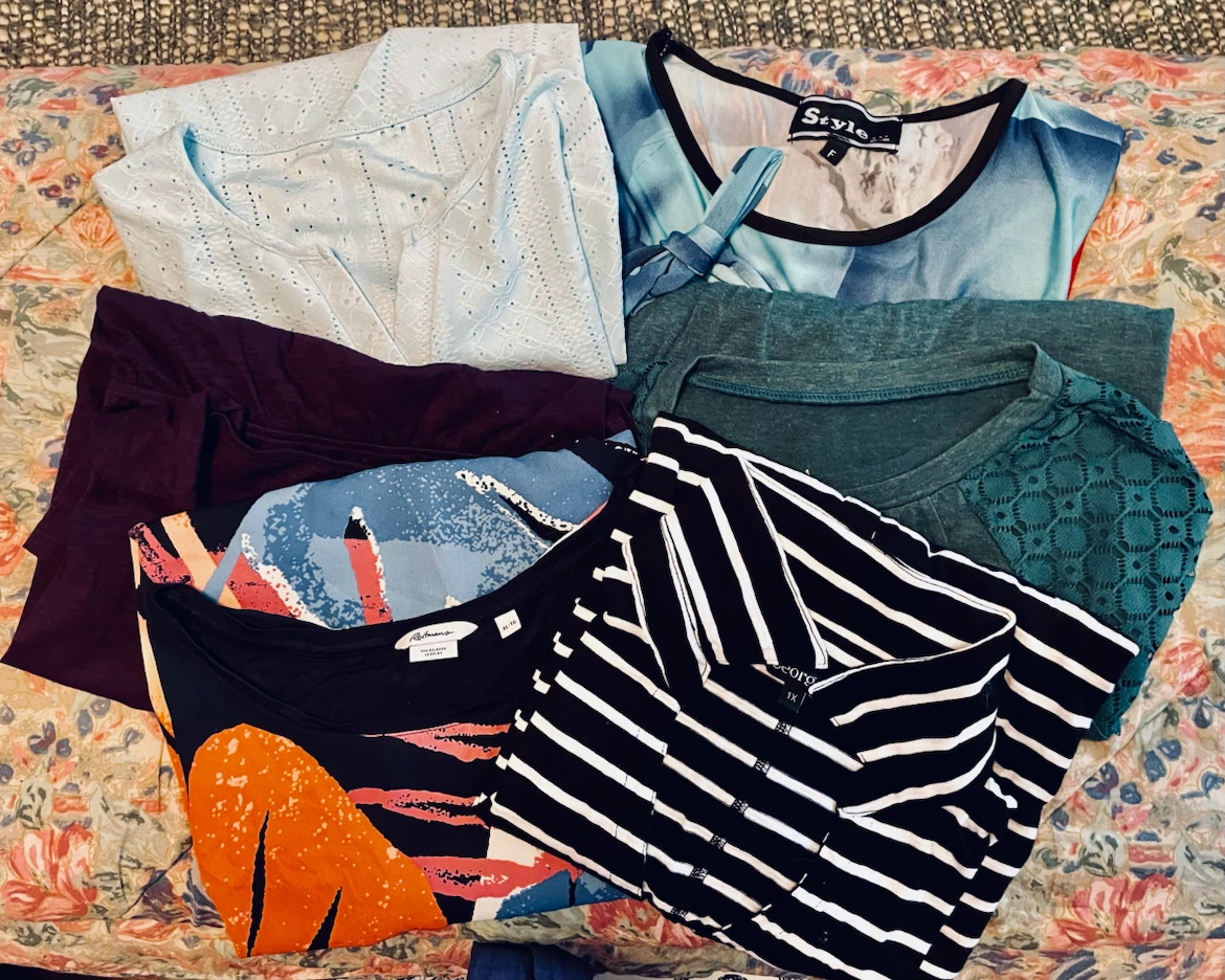 Lot of 6 Classic Women's Tops