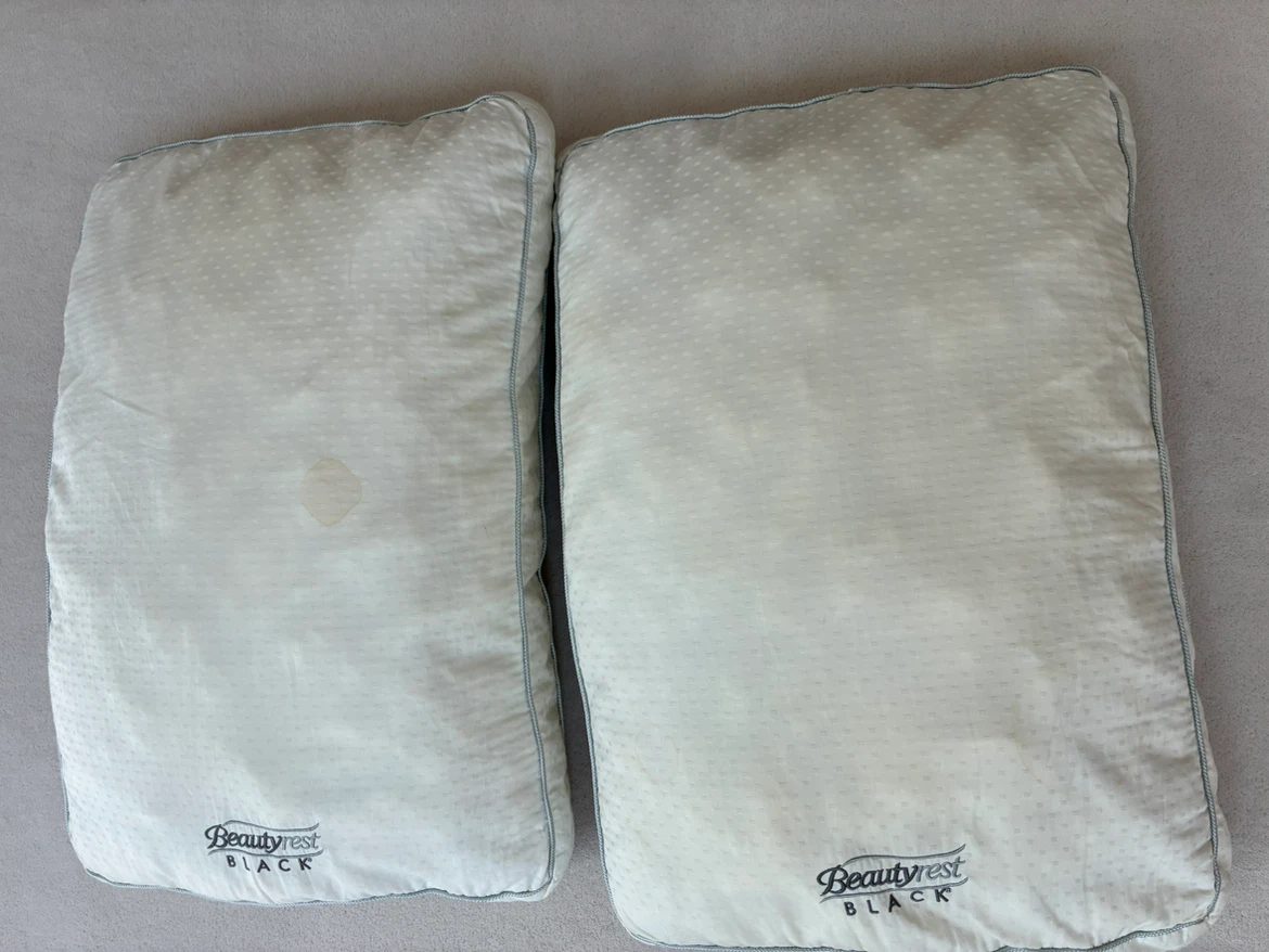 Beautyrest Black Pillows (Set of 2)