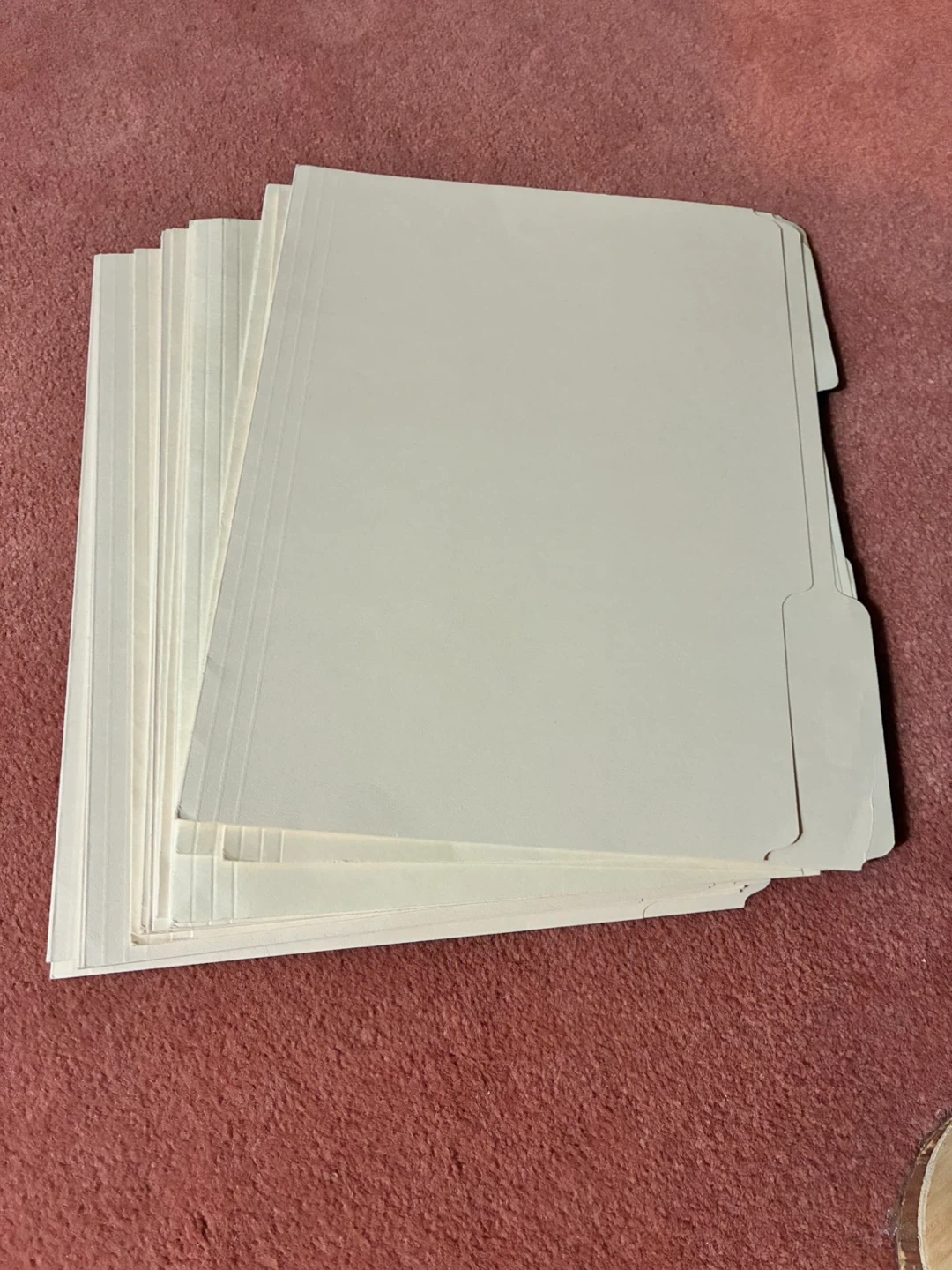 Manila File Folders