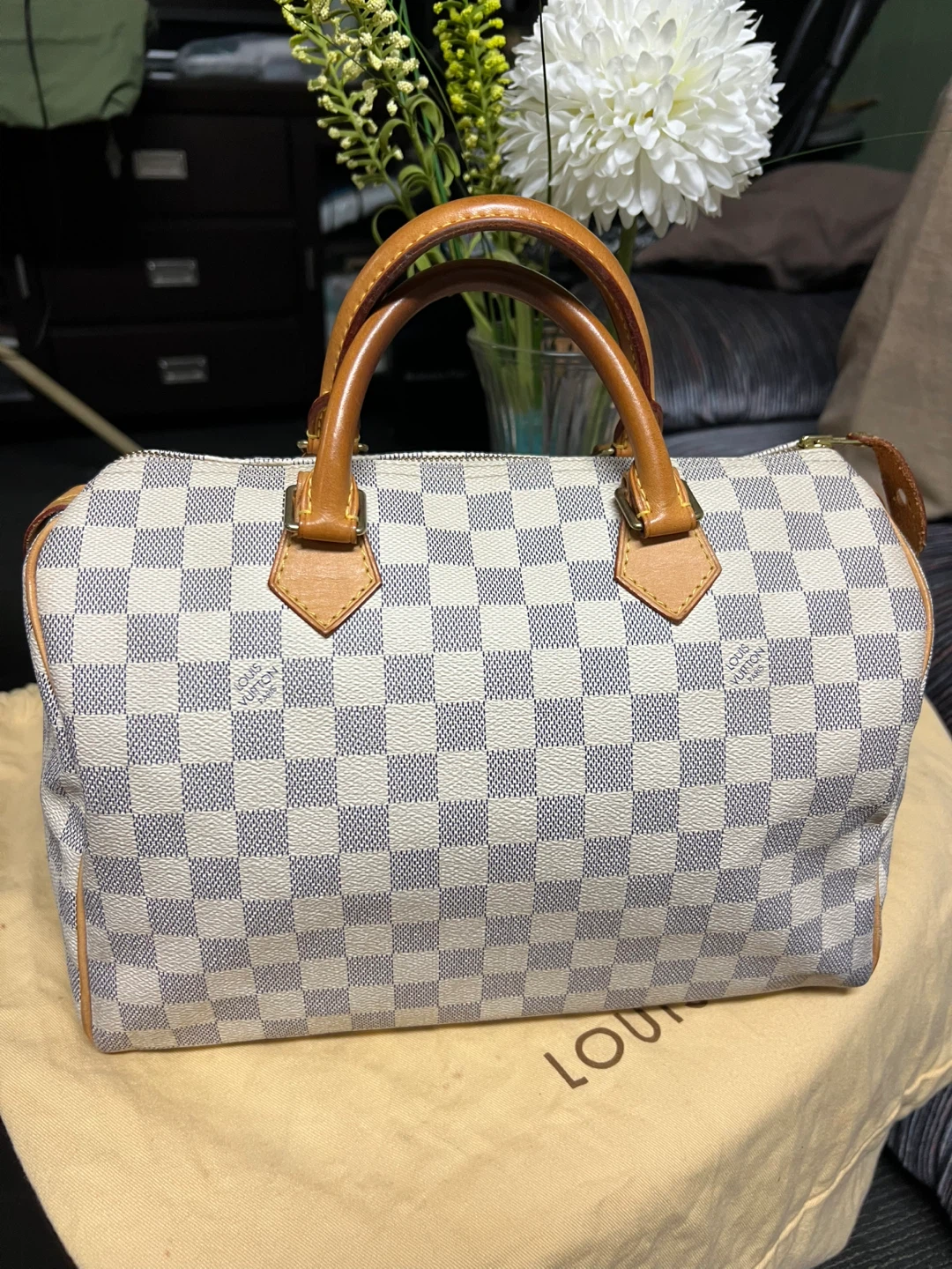 Louis Vuitton Speedy Bag