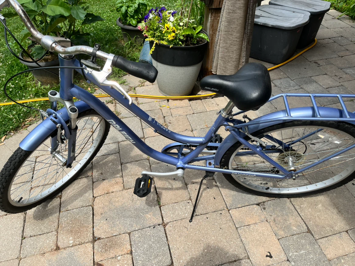 Raleigh Transfer Bike - photo 3