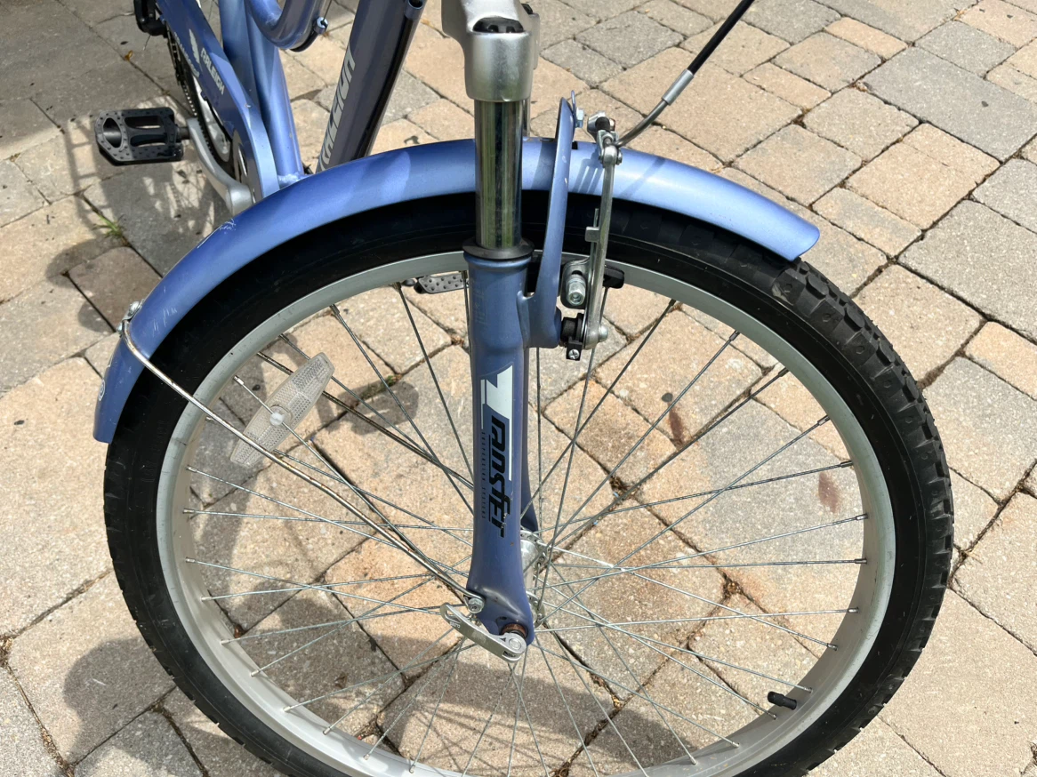 Raleigh Transfer Bike - photo 5