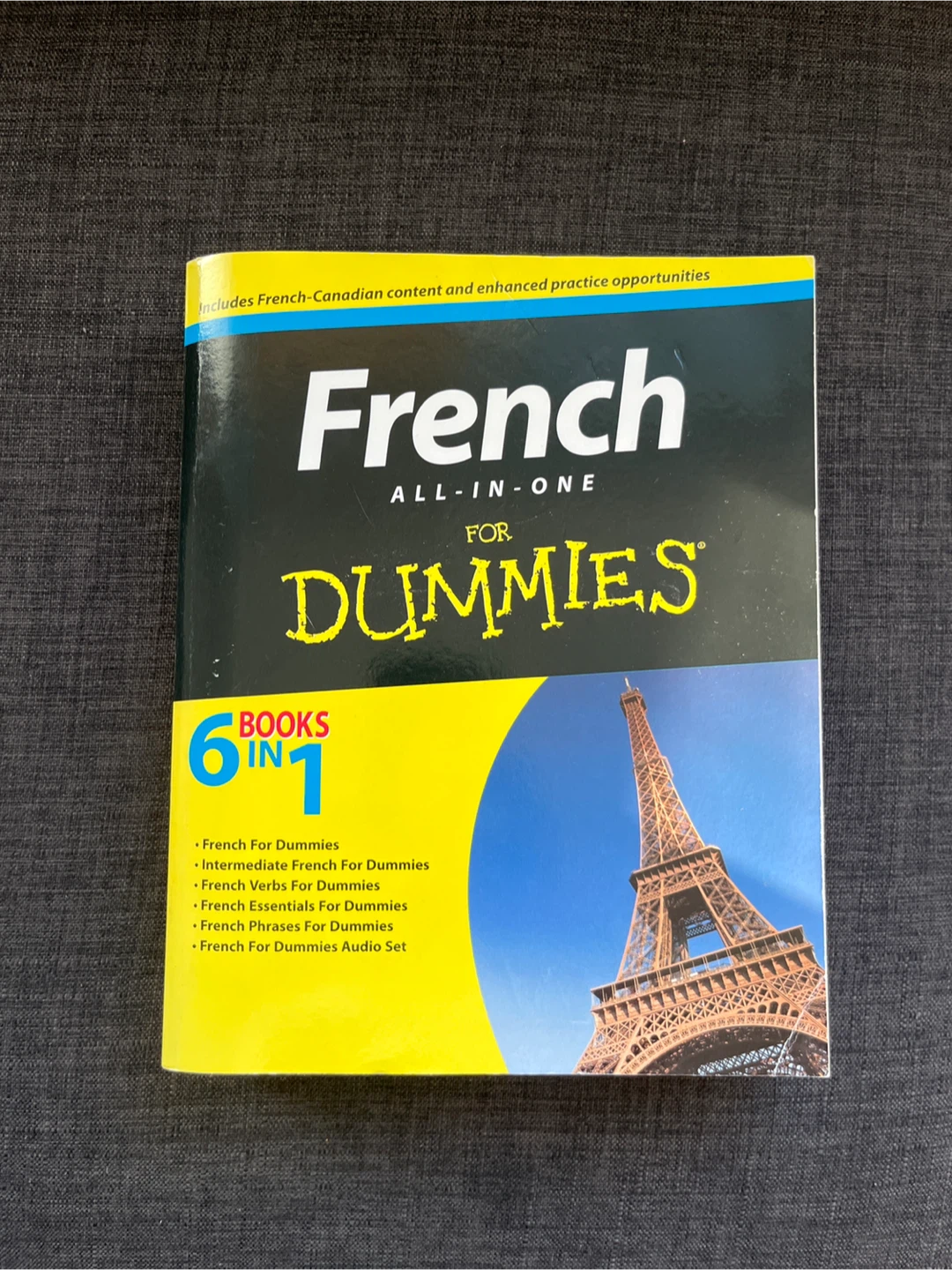 French All-in-One For Dummies Book