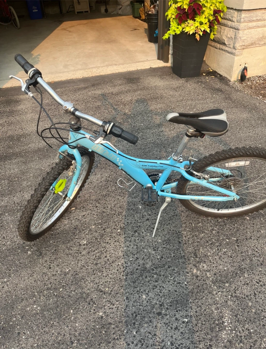 MTX 225 Aluminum Bike