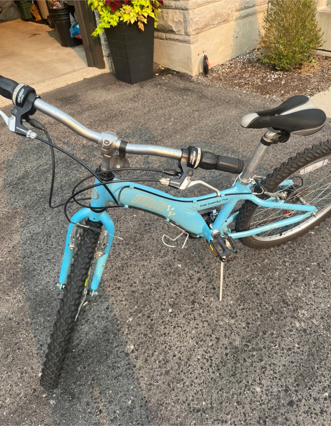 MTX 225 Aluminum Bike - photo 2