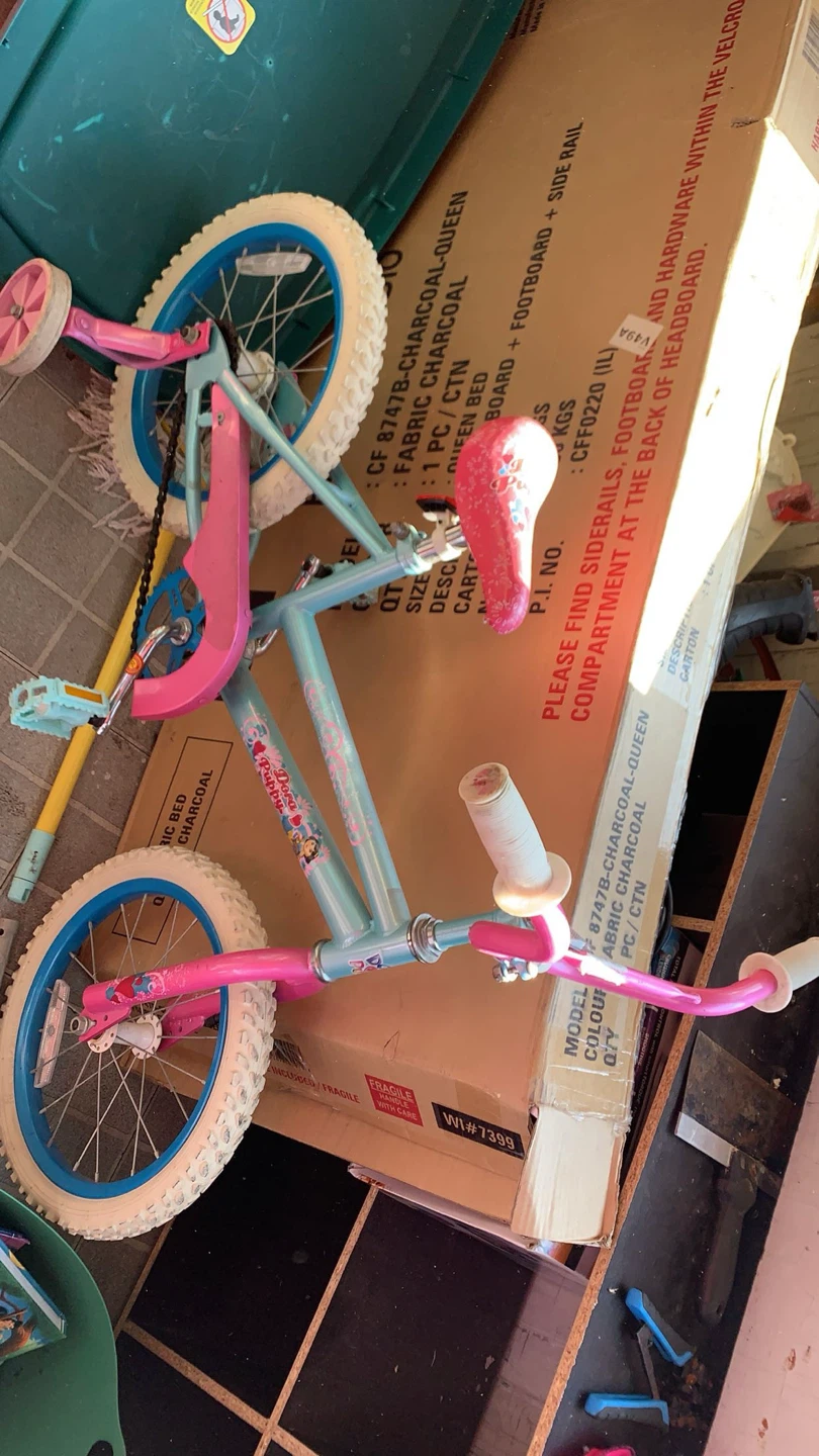 Dora the Explorer Kids Bike