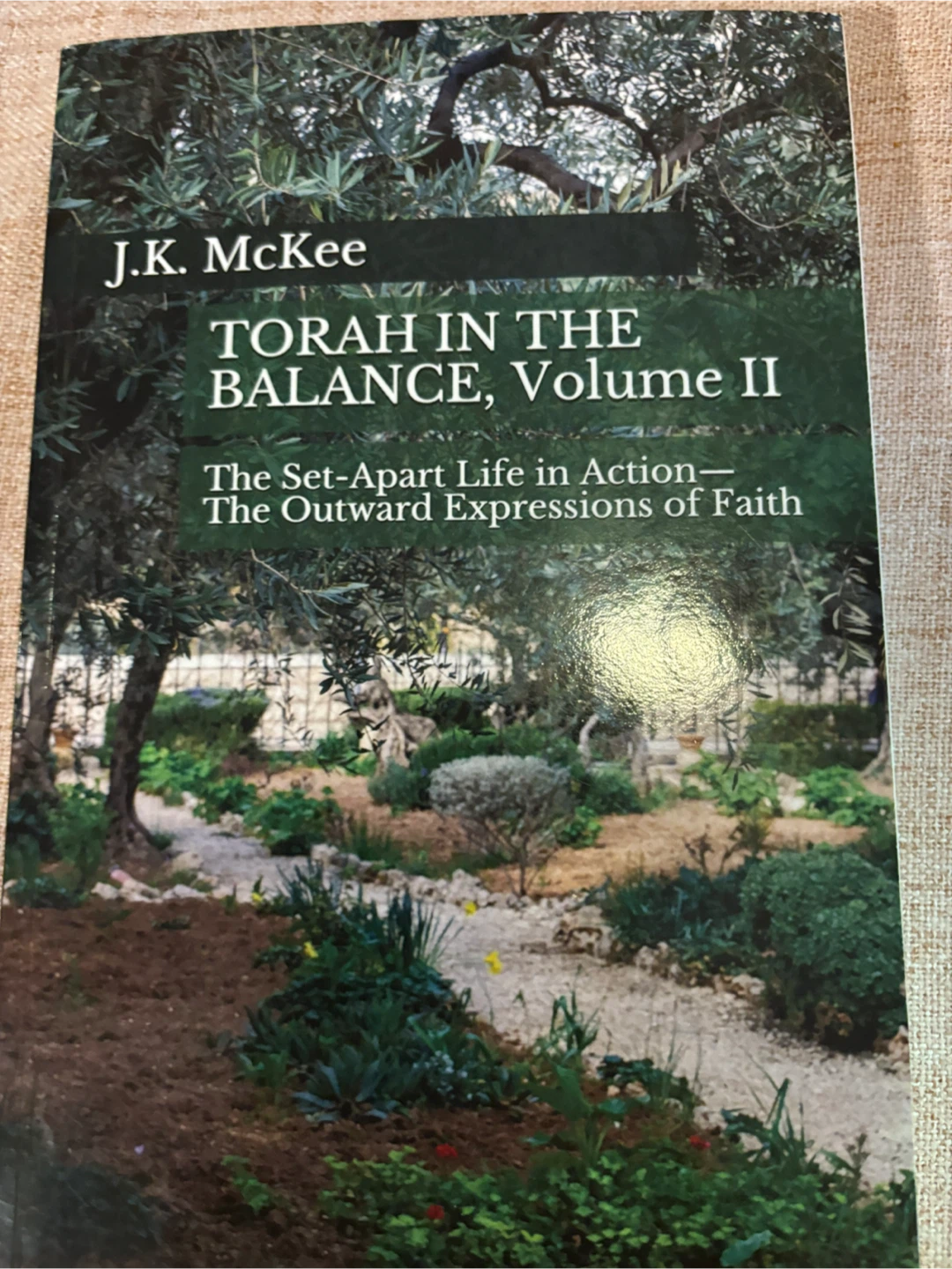 Torah in the Balance, Volume II by J.K. McKee