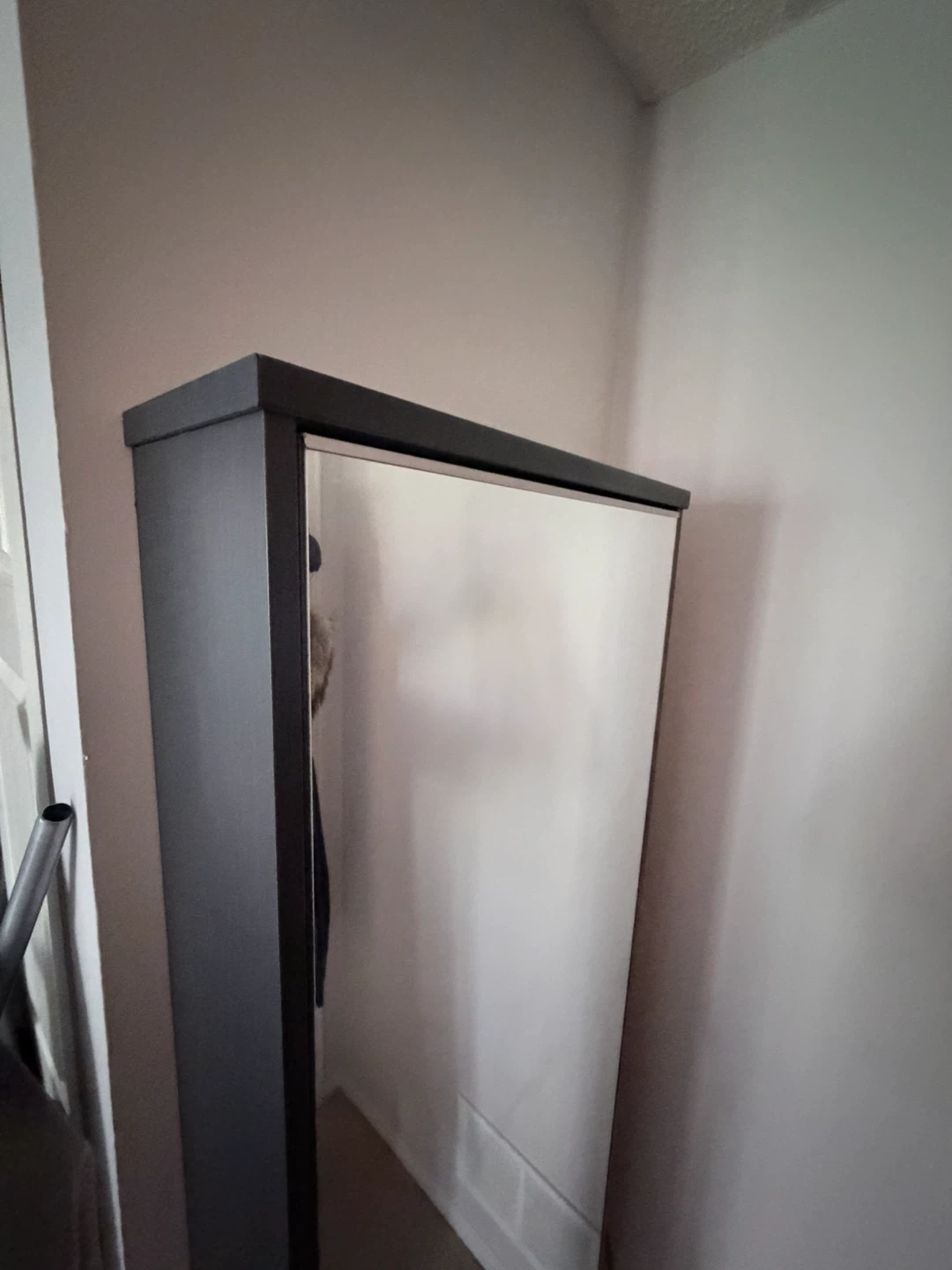 Tall Mirror Cabinet with Hooks