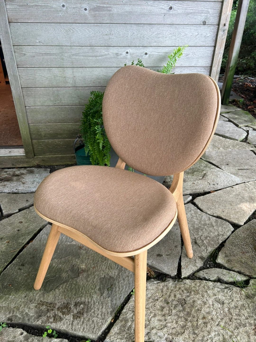 Sample ( one only) dining chair - photo 2