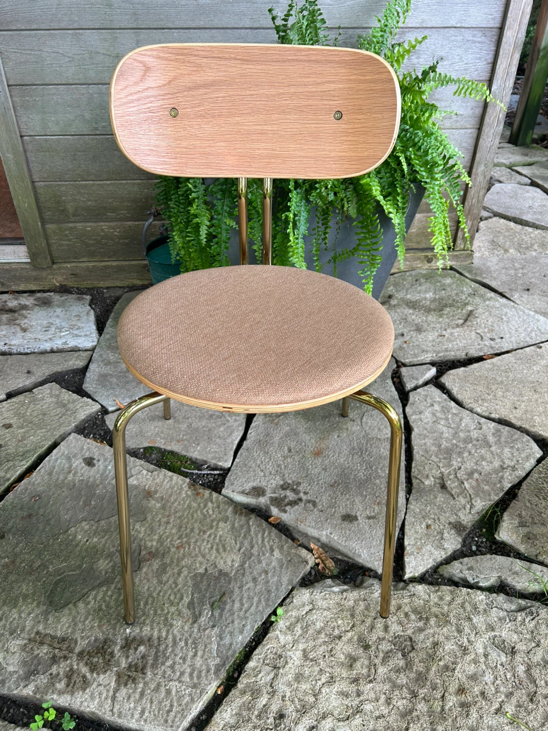 Modern Accent Chair - Wood Back & Upholstered Seat