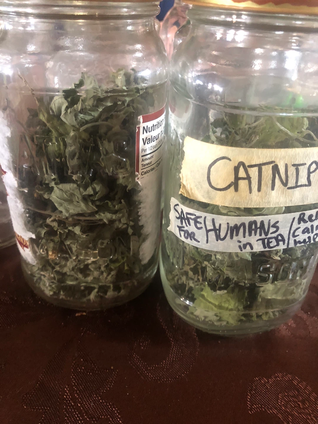 Organic Home Grown Catnip for Humans in Tea