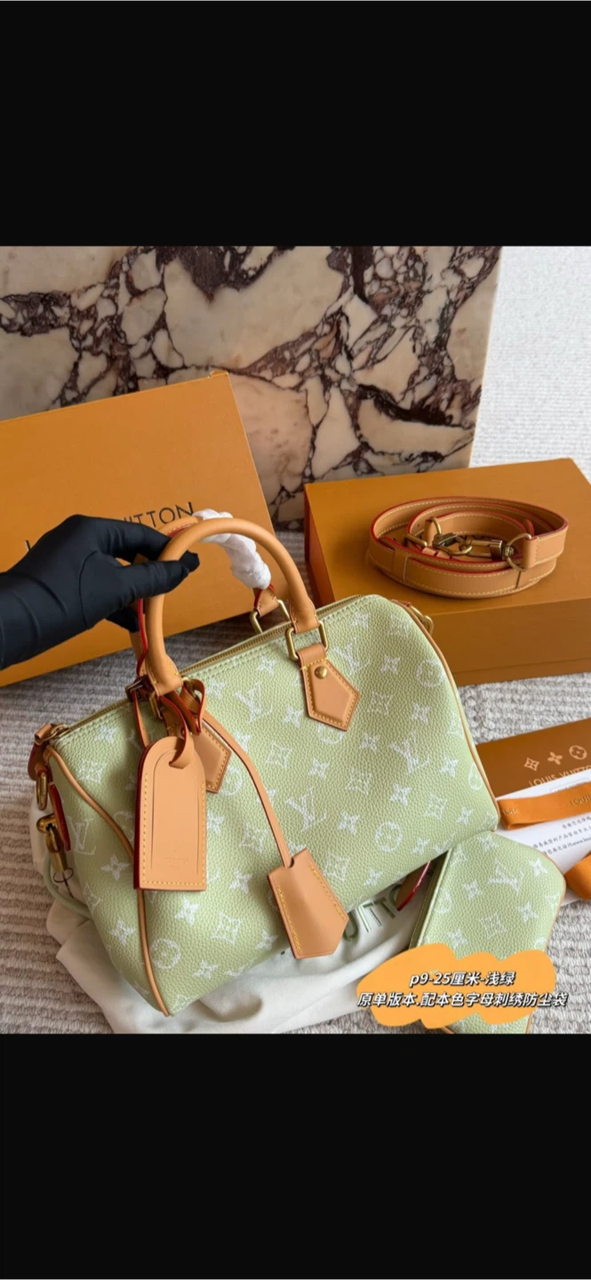 Louis Vuitton Speedy 25 Bag