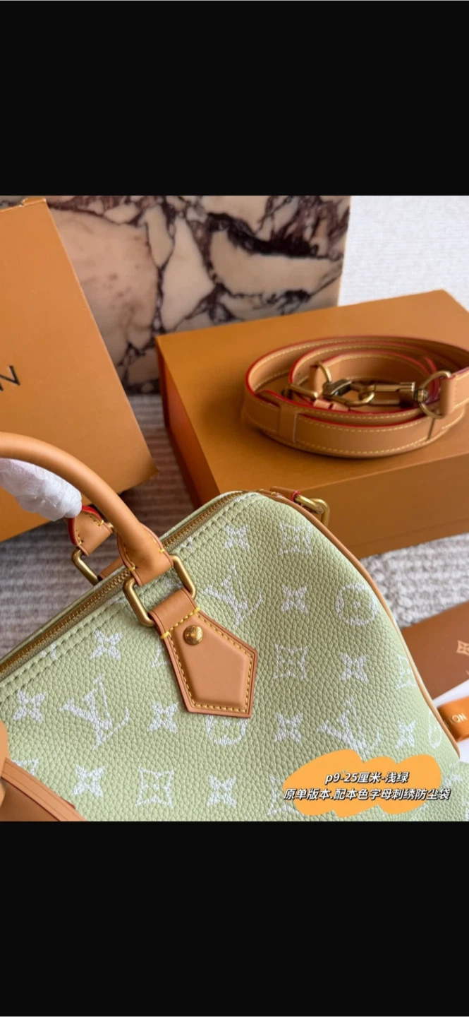 Louis Vuitton Speedy 25 Bag - photo 2