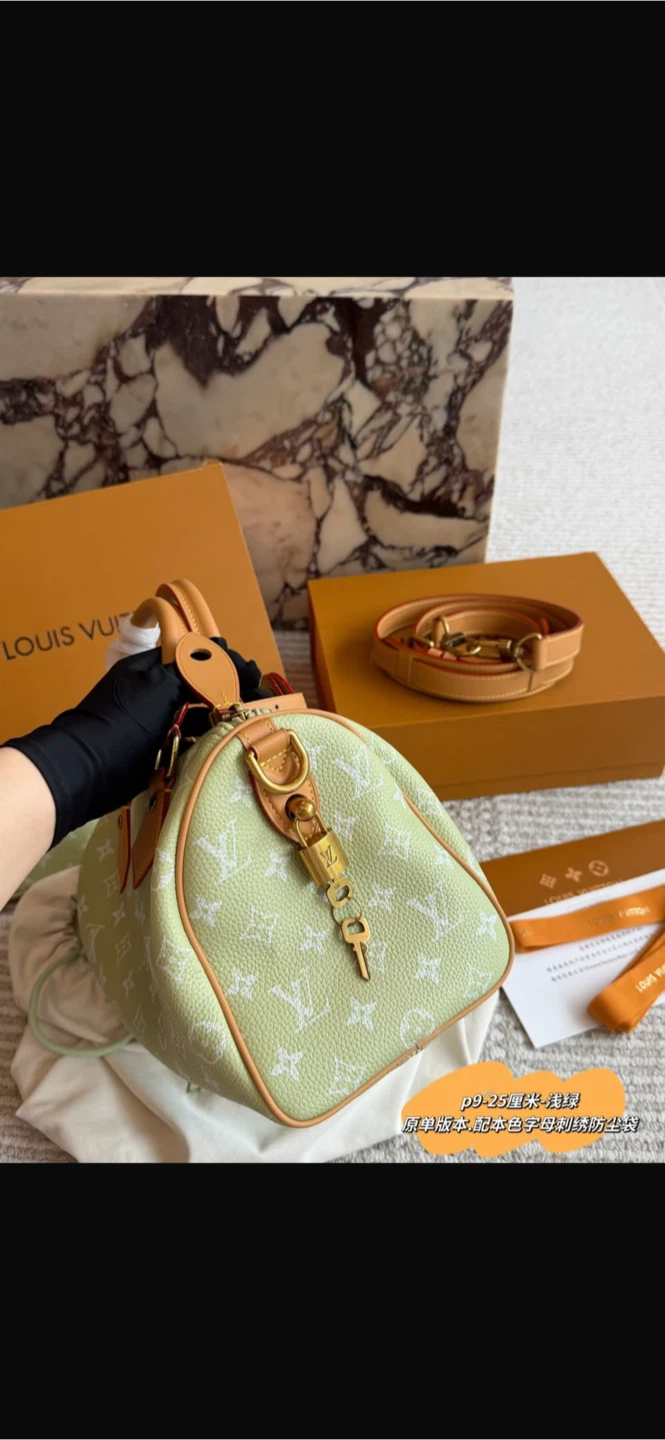 Louis Vuitton Speedy 25 Bag - photo 5