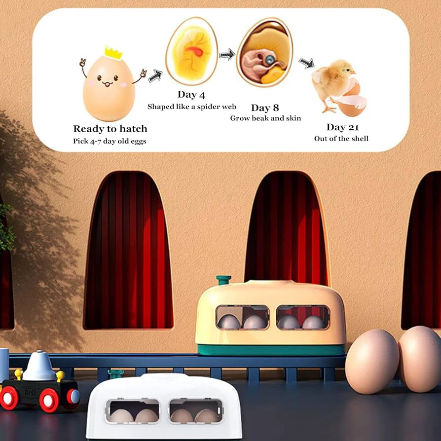 8 Egg Incubator with Automatic Turner