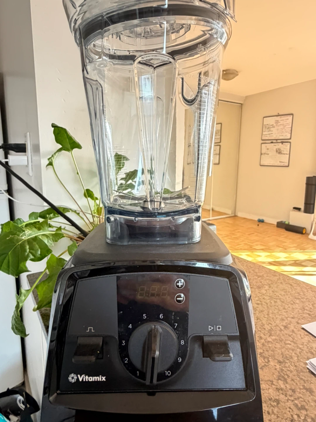 Vitamix Blender with Tamper