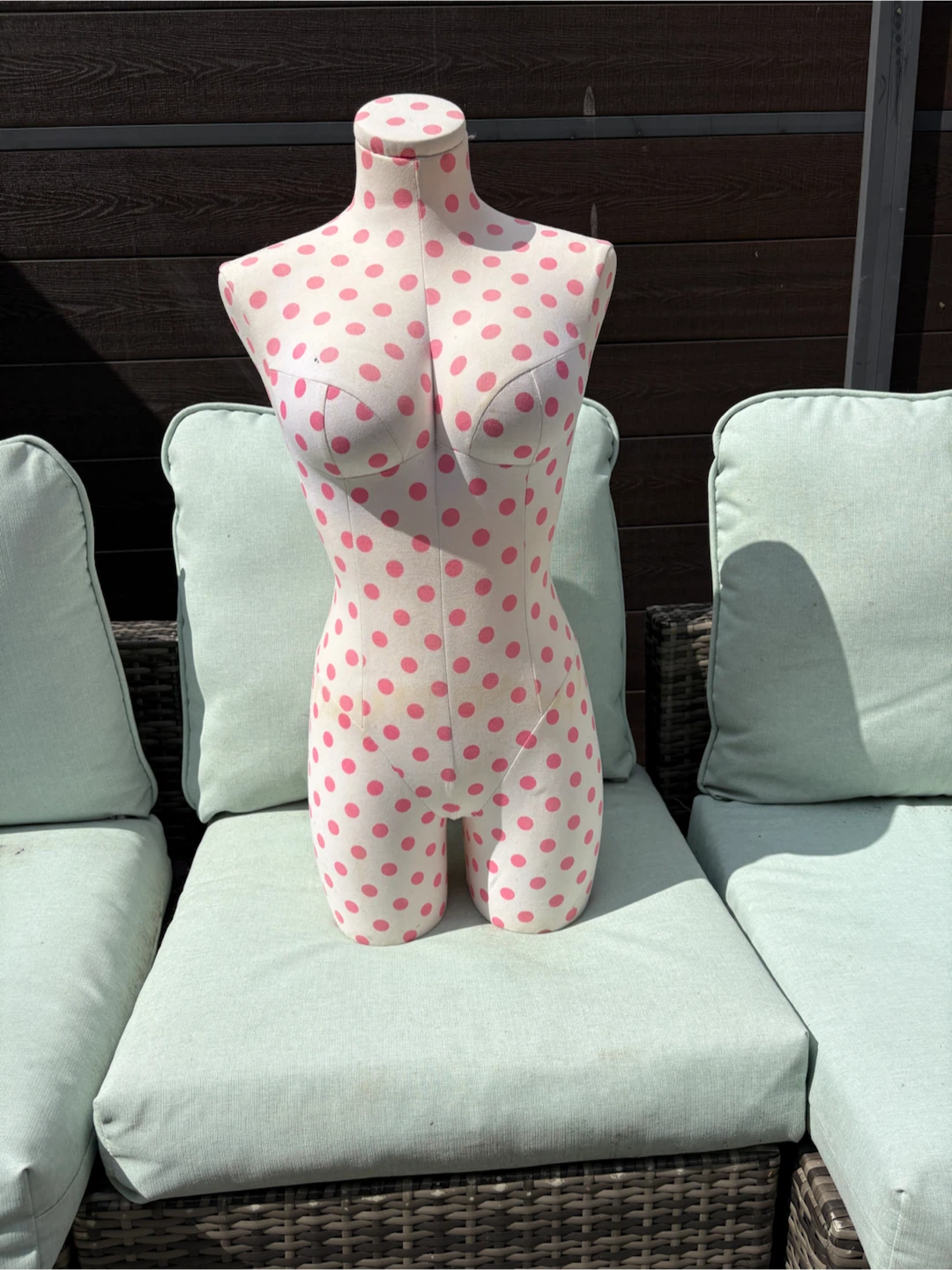 Victorias secret PINK mannequins dress form - photo 2