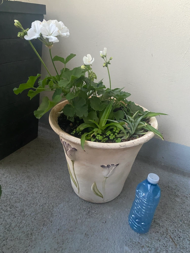 Decorative Ceramic Planter with Tulips - photo 2