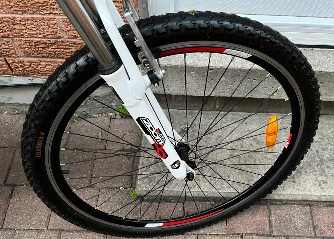 Infinity Mountain Bike - photo 4