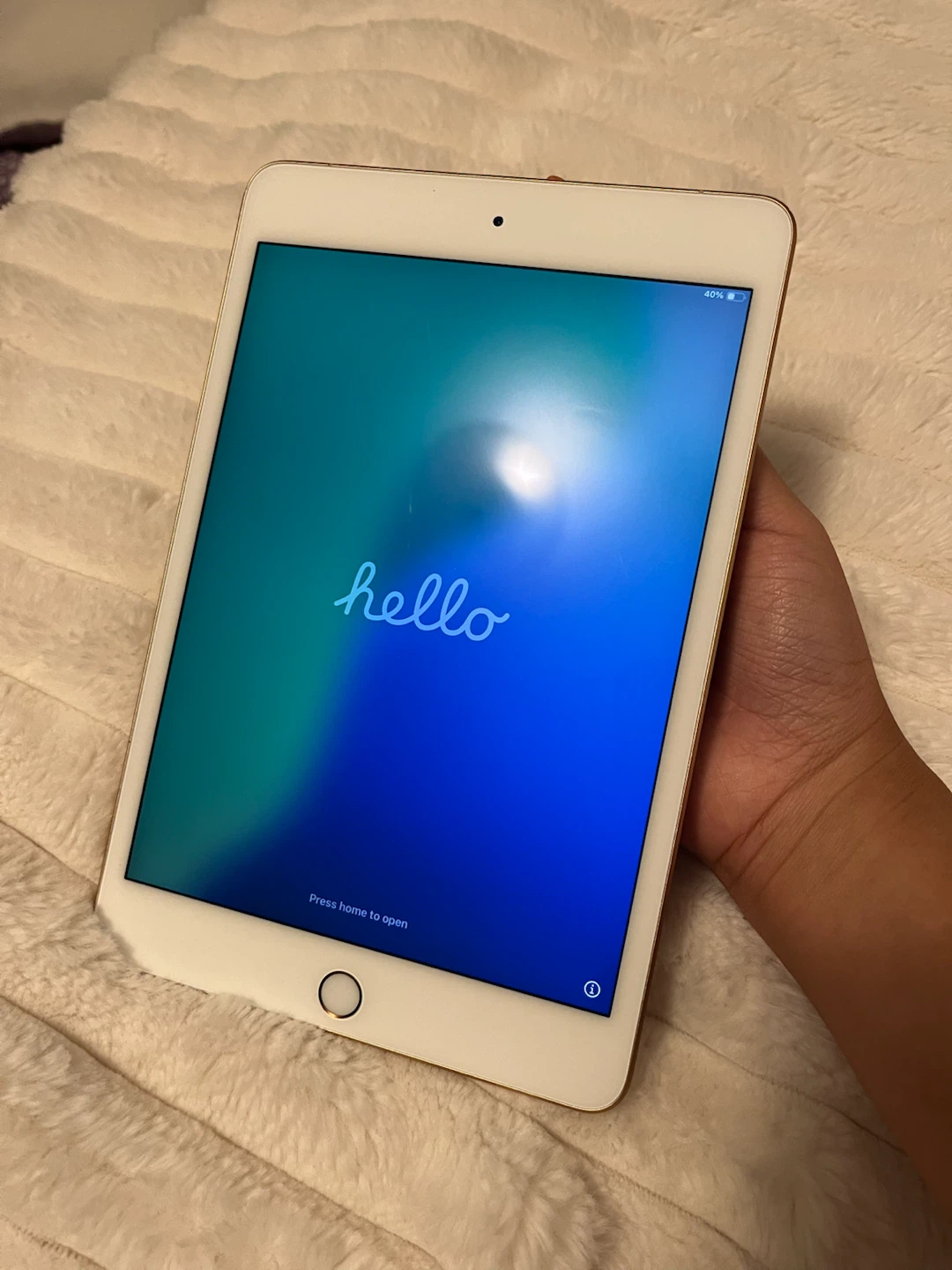 Apple iPad mini (5th gen) 256GB Gold