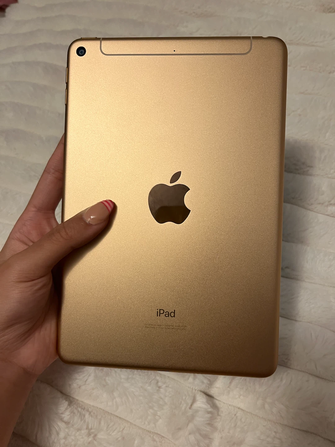 Apple iPad mini (5th gen) 256GB Gold - photo 2