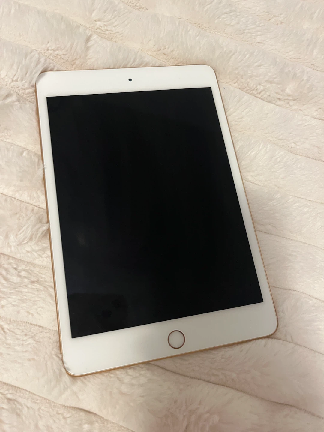 Apple iPad mini (5th gen) 256GB Gold - photo 3