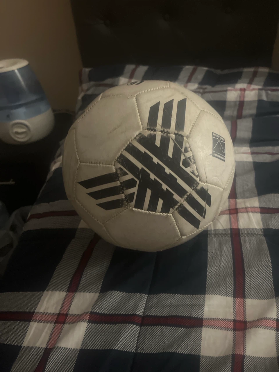 White Soccer Ball