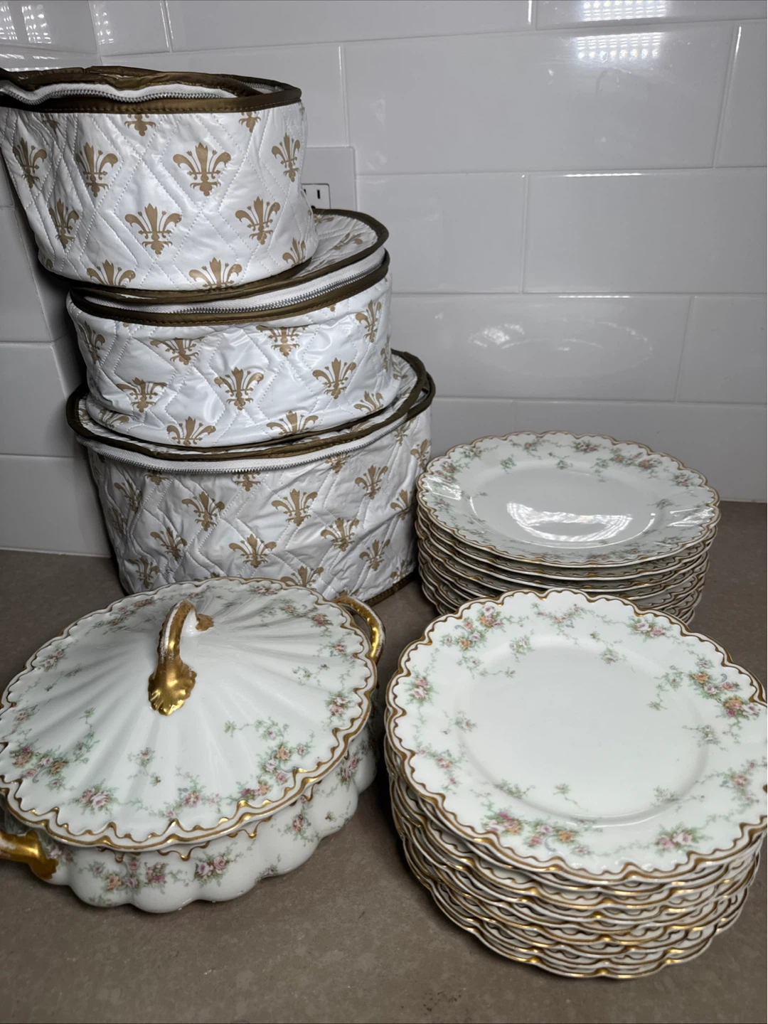 Vintage Floral Porcelain Dinner Plates Set