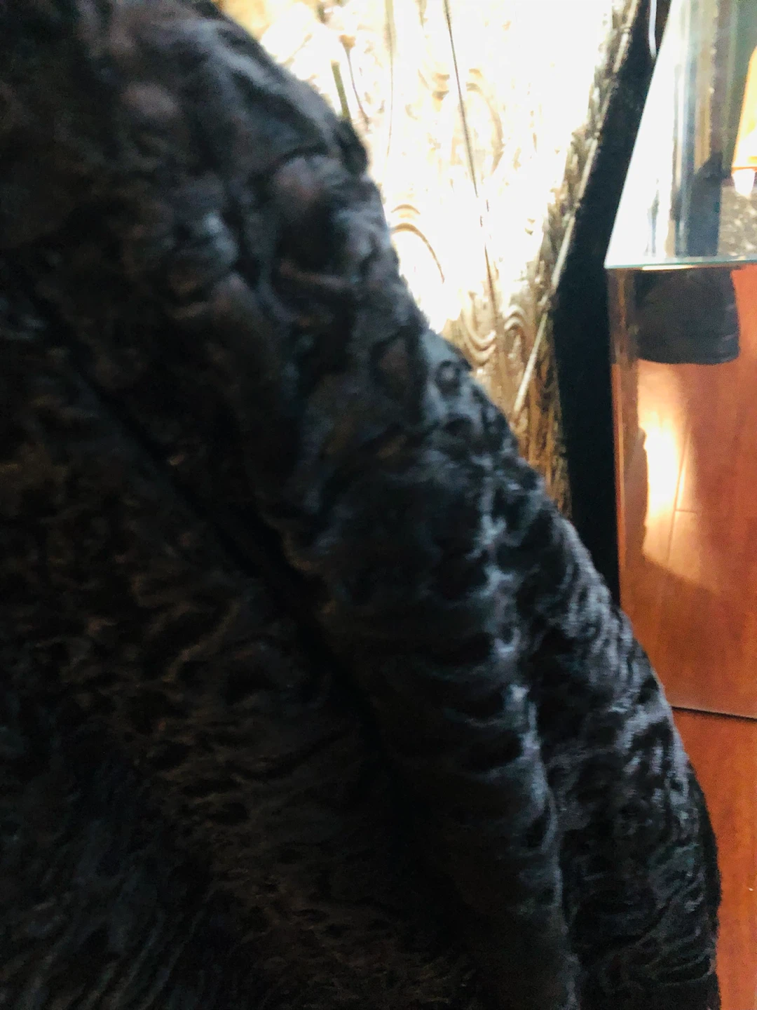 Black Faux Fur Coat