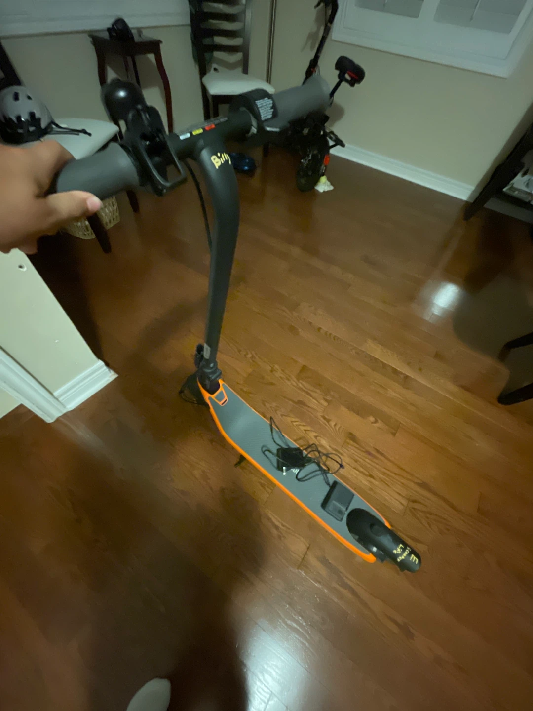 Segway Electric KickScooter