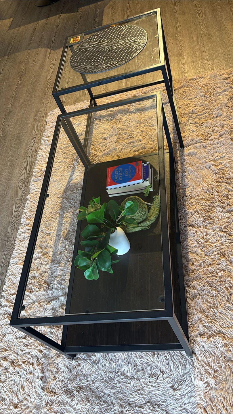 Modern Black Metal & Glass Coffee Table Set - photo 2